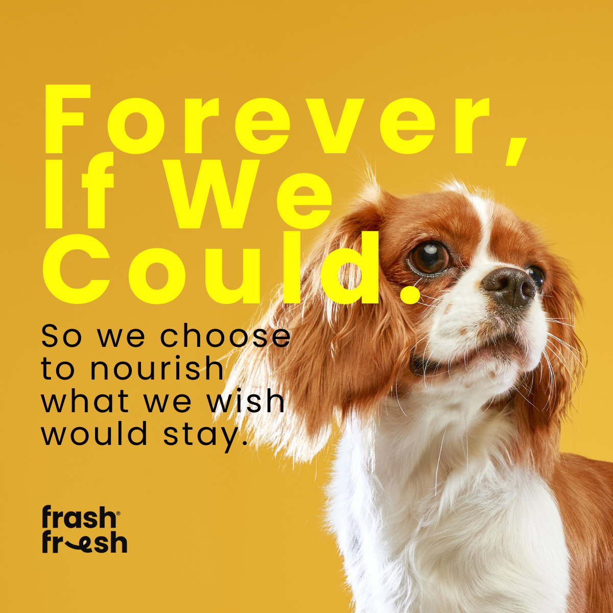 frashfresh Raw Dog Food with NutriAbsorb™ (Low-Allergen Beef)