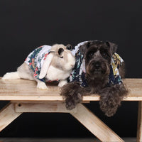 Jermin